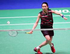 IM体育社区互动入口-马来西亚队绝杀法国队，戴资颖关键制胜的简单介绍