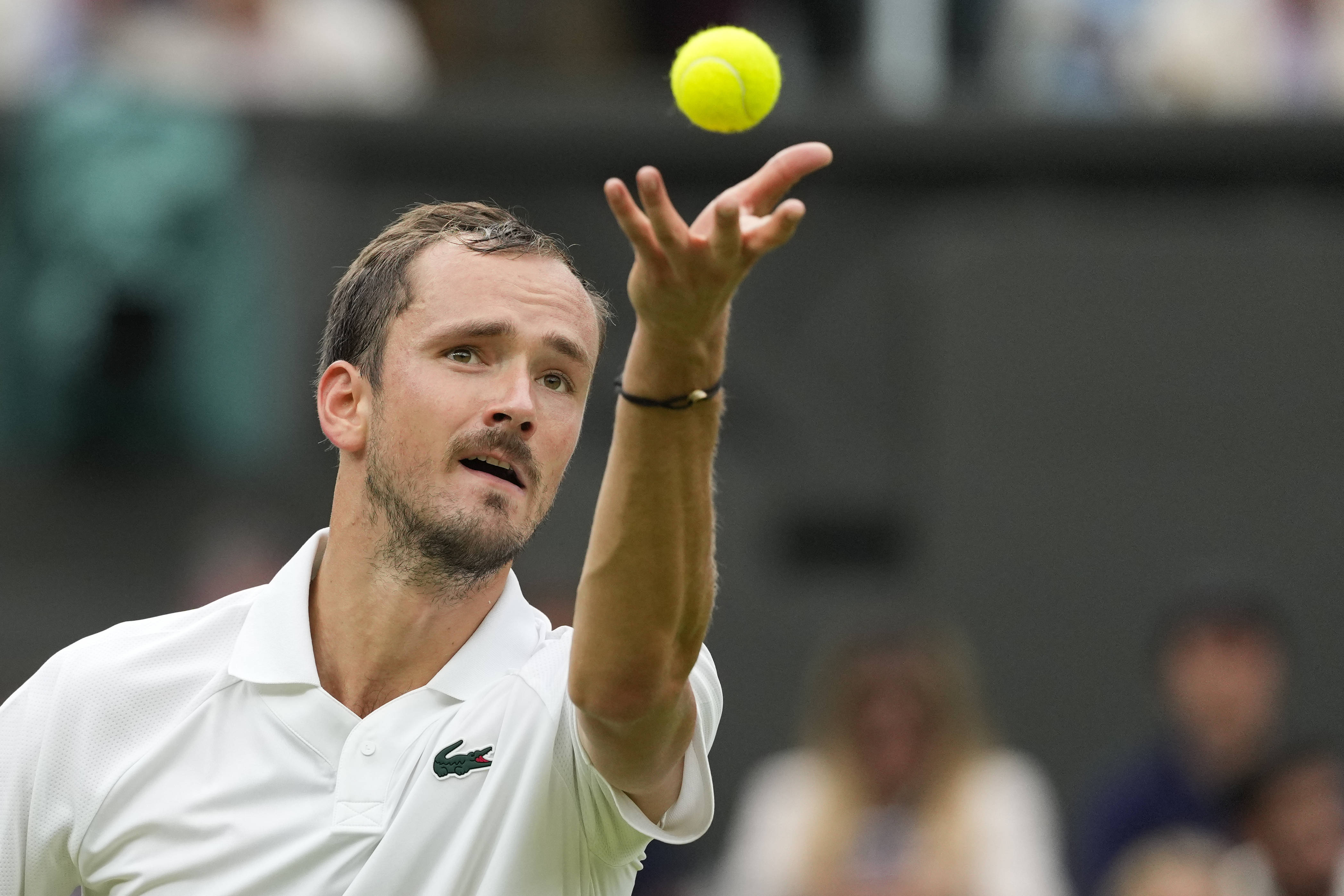 IM体育官网-关于意大利网球队力克澳大利亚网球队，梅德韦杰夫高光表现的信息