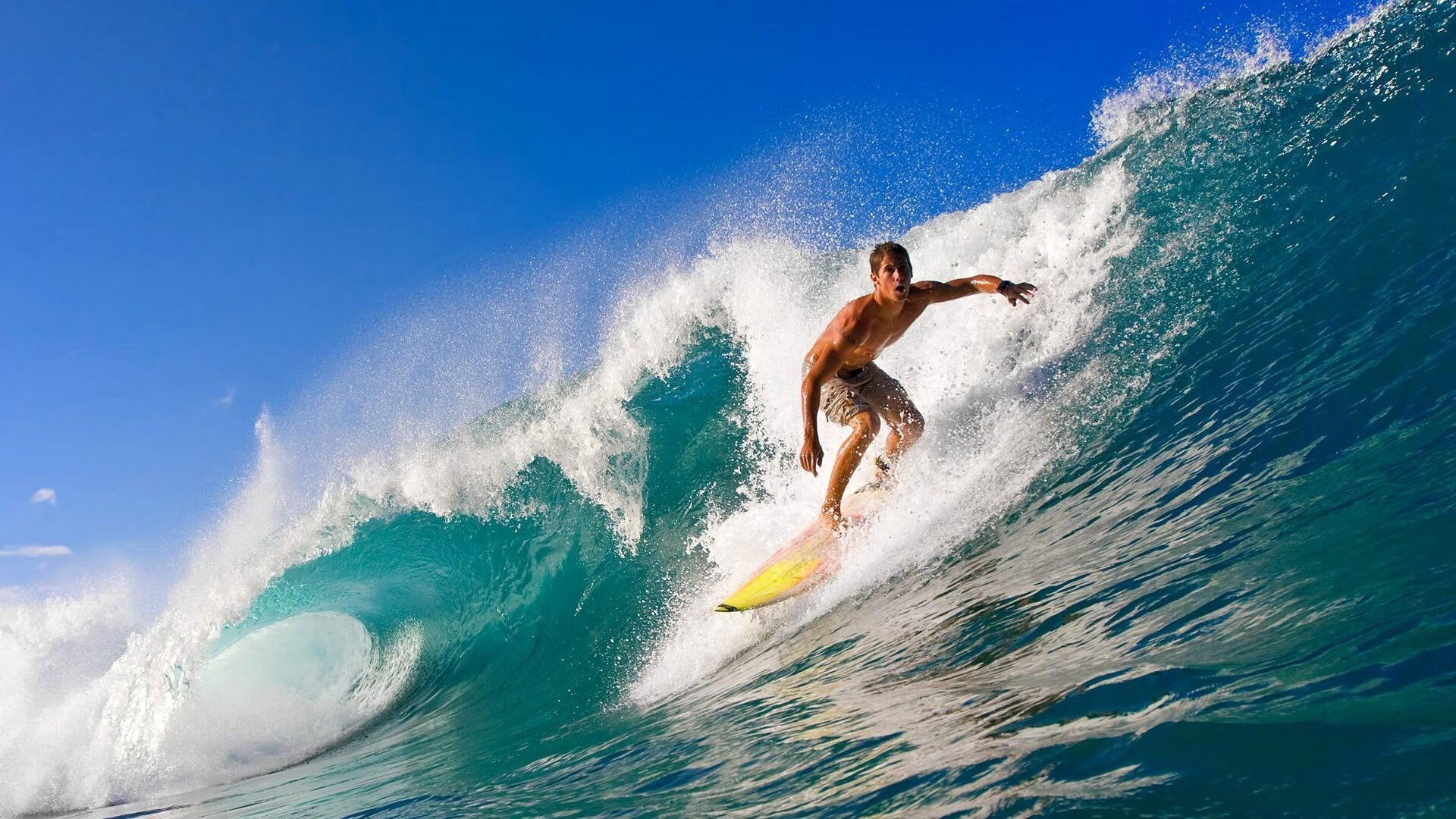 IM体育下载-年度焦点之战,浙江队最后时刻绝杀太阳,诠释永不放弃的竞技精神